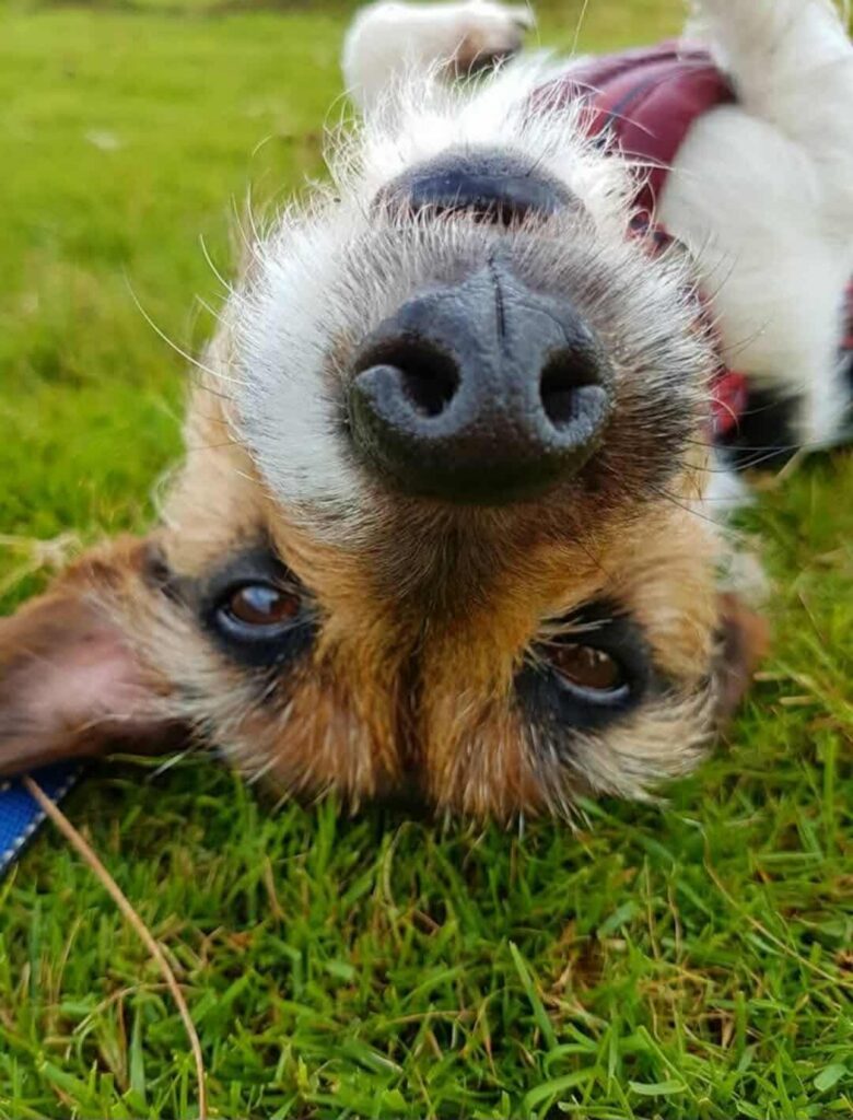 2a965eb5de2d2640eee2570912e4f343