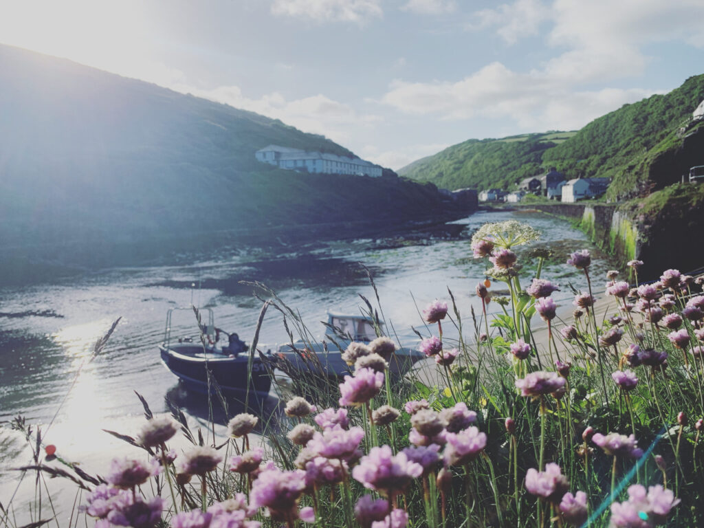 d755f9b9 c838 4464 bcdd 259d0d7ed647