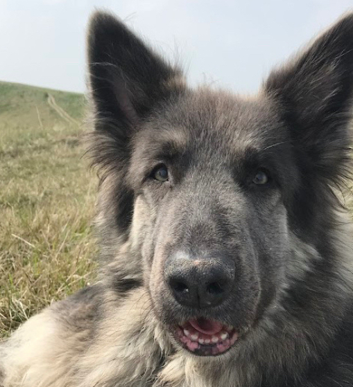 pale cropped red minimalist text quotes travel instagram post.png