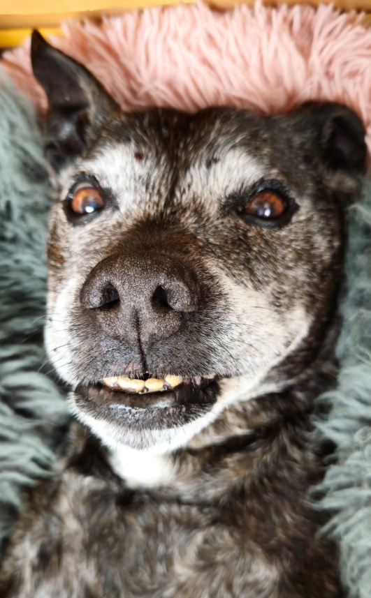 cropped pale red minimalist text quotes travel instagram post