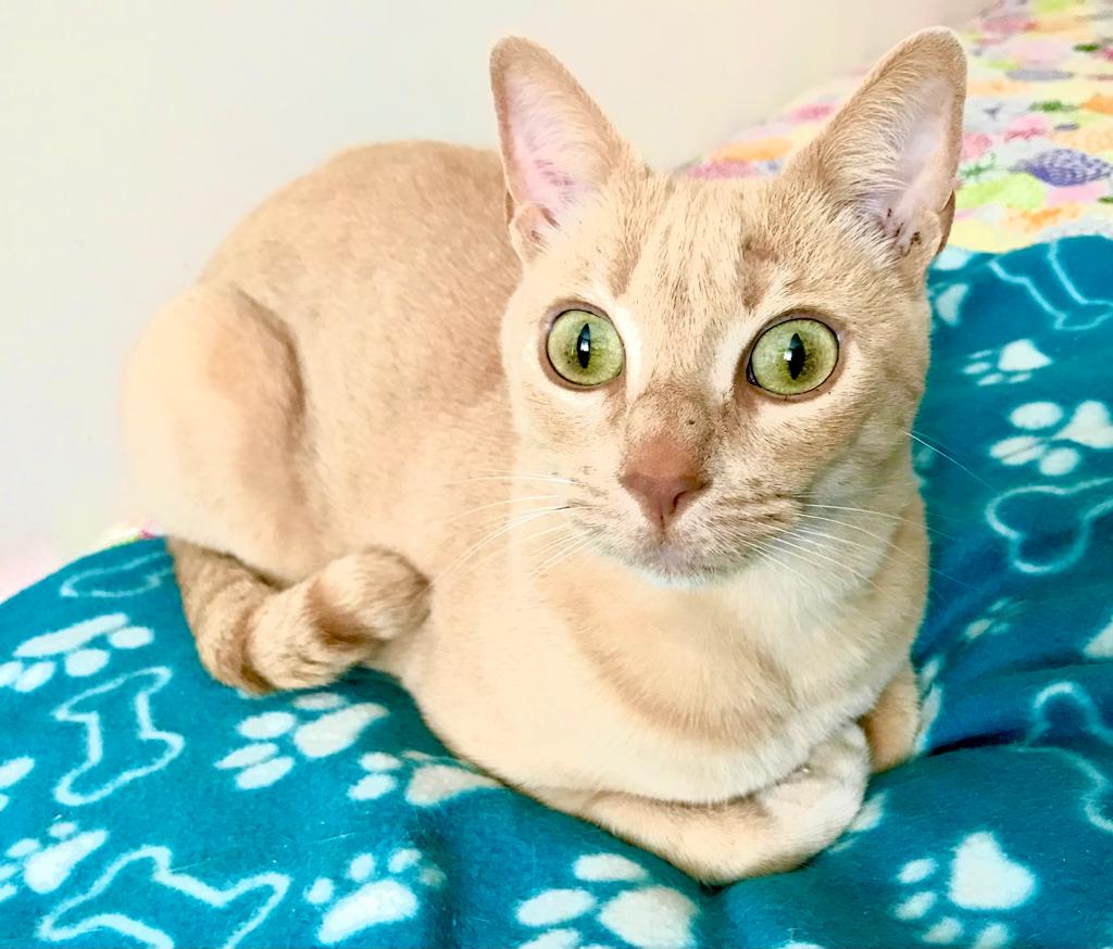 f570224e 56c2 4c33 be2d f11020d329d2