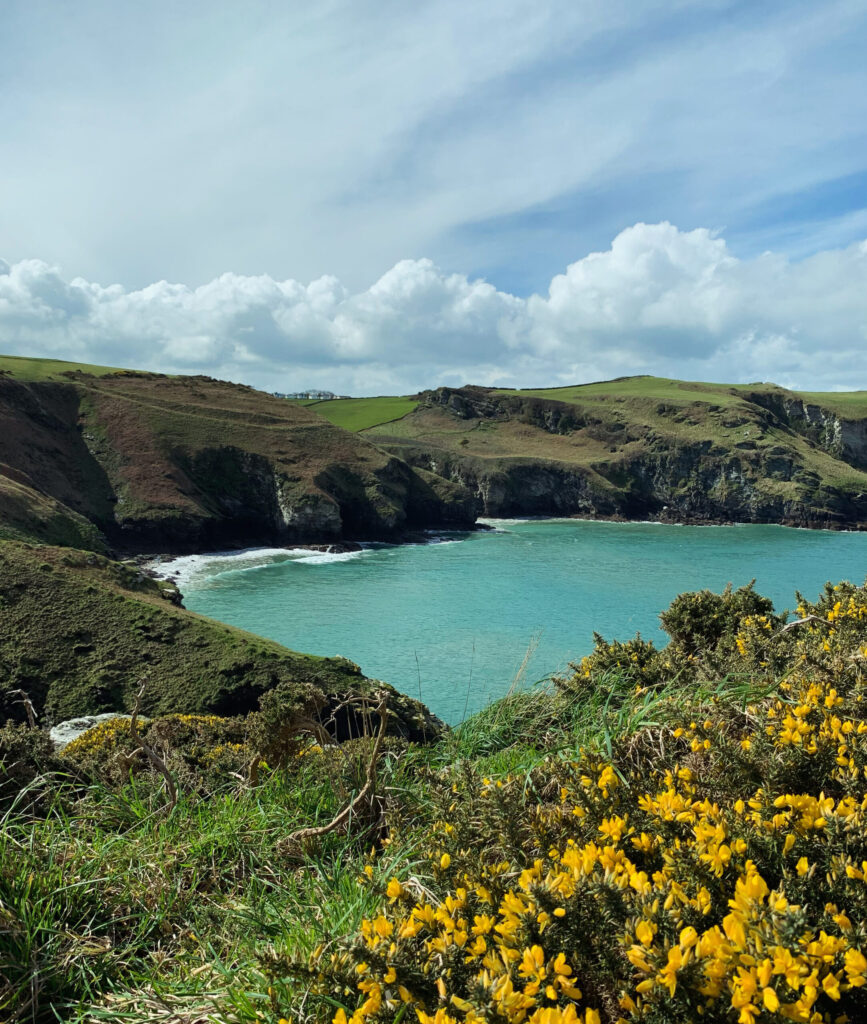 19ce7946 f1a2 4ed6 9fc2 0c8c6ba8e17c